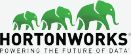 hortronworks HORTONWORKS